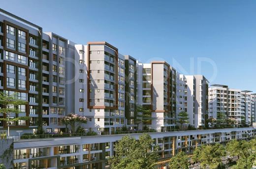 Giỏ hàng cho thuê Celadon City
