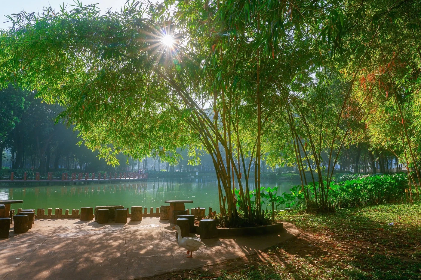 Hình ảnh thực tế tại dự án Celadon City cập nhật mới nhất