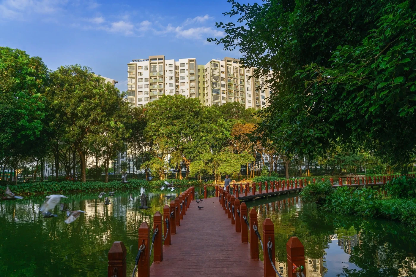 Hình ảnh thực tế tại dự án Celadon City cập nhật mới nhất